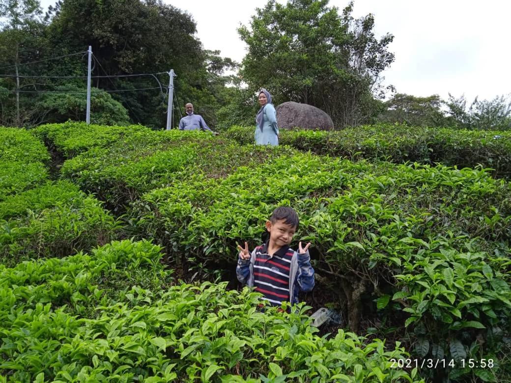 Netasha Holiday And Aparthotel Cameron Highlands