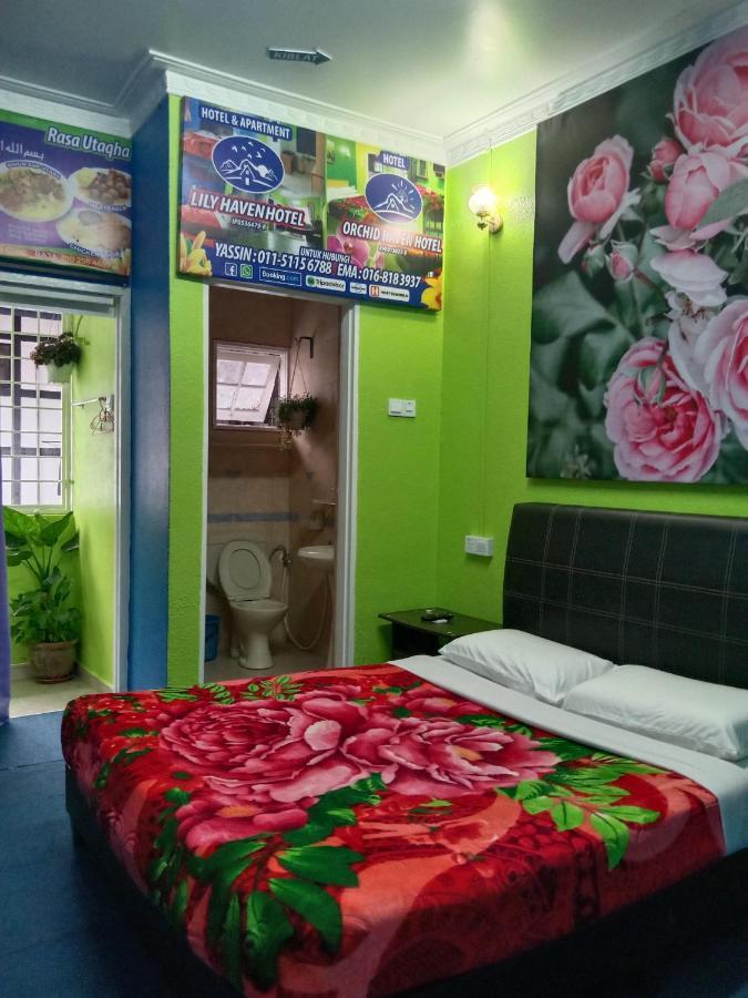 Aparthotel Netasha Holiday And *