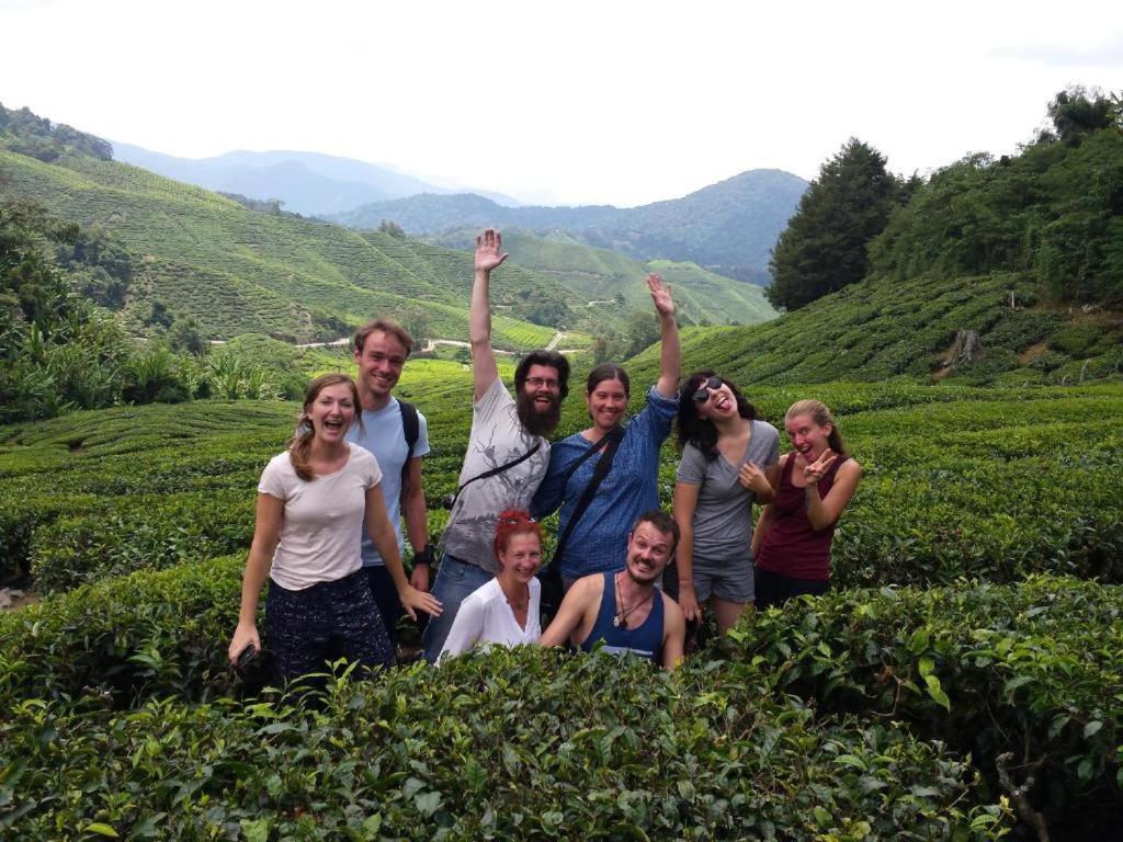 Netasha Holiday And * Cameron Highlands