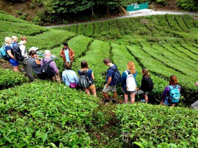 Netasha Holiday And Cameron Highlands